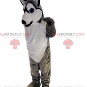 Grijze en witte husky mascotte glimlachen. Wolf kostuum -